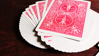 BicyclePlayingCards.RedBackFan.png