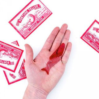 Fortune teller Fish.in hand.jpg