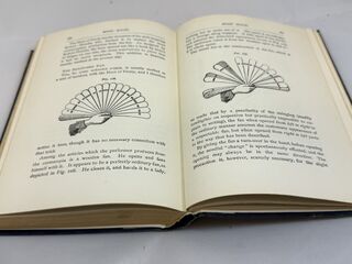 More Magic by Prof. Hoffmann.randomPages.1.jpeg